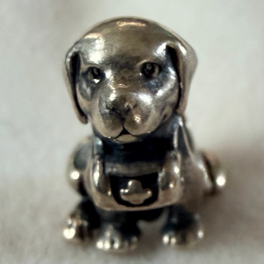 Pandora dog charm